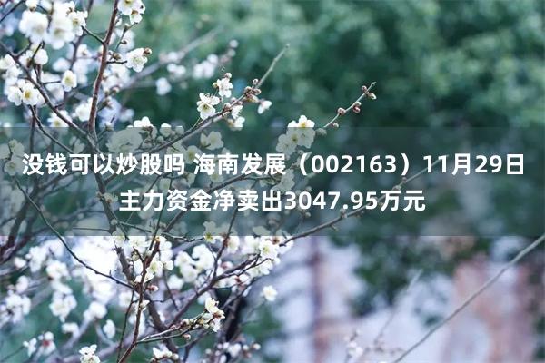 没钱可以炒股吗 海南发展（002163）11月29日主力资金净卖出3047.95万元