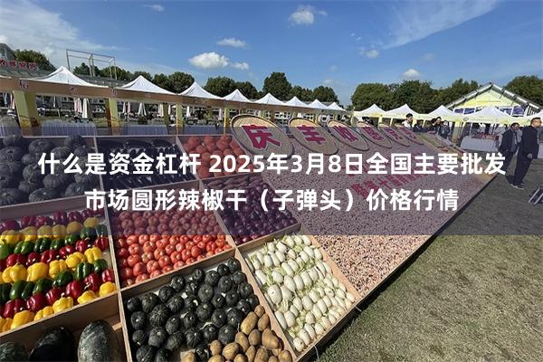 什么是资金杠杆 2025年3月8日全国主要批发市场圆形辣椒干(子弹头)价格行情