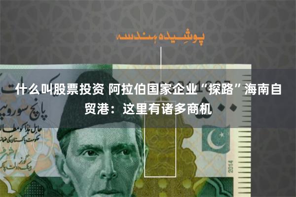 什么叫股票投资 阿拉伯国家企业“探路”海南自贸港：这里有诸多商机