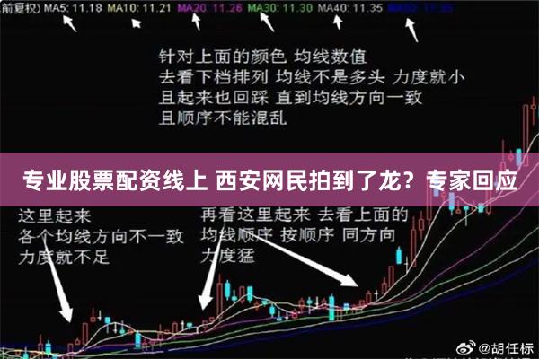 专业股票配资线上 西安网民拍到了龙？专家回应