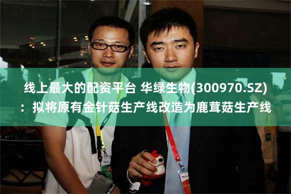 线上最大的配资平台 华绿生物(300970.SZ)：拟将原有金针菇生产线改造为鹿茸菇生产线