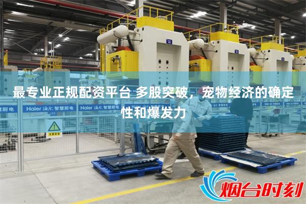 最专业正规配资平台 多股突破，宠物经济的确定性和爆发力