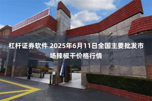 杠杆证券软件 2025年6月11日全国主要批发市场辣椒干价格行情