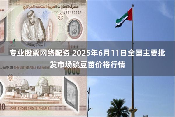 专业股票网络配资 2025年6月11日全国主要批发市场豌豆苗价格行情