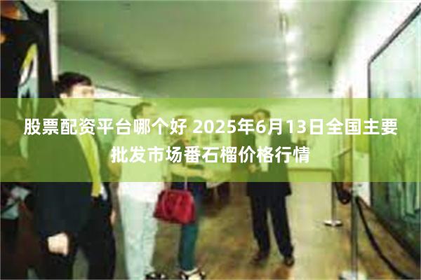 股票配资平台哪个好 2025年6月13日全国主要批发市场番石榴价格行情