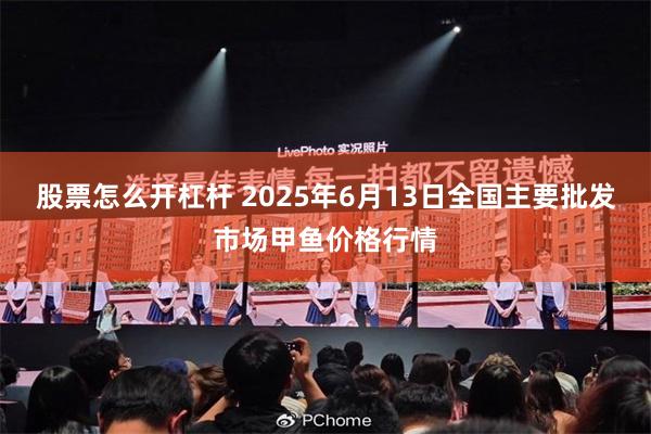股票怎么开杠杆 2025年6月13日全国主要批发市场甲鱼价格行情