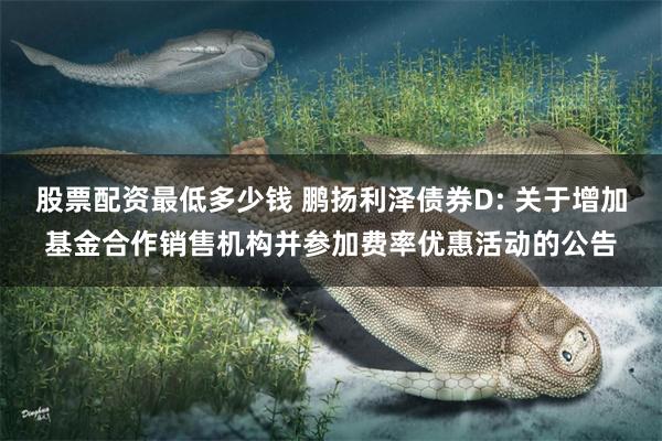 股票配资最低多少钱 鹏扬利泽债券D: 关于增加基金合作销售机构并参加费率优惠活动的公告