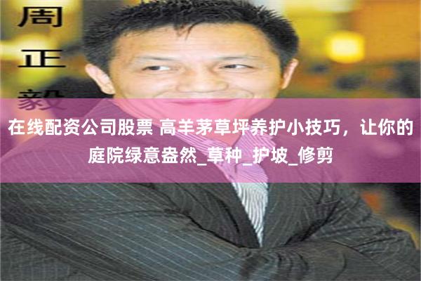 在线配资公司股票 高羊茅草坪养护小技巧，让你的庭院绿意盎然_草种_护坡_修剪