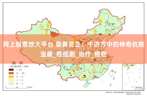 网上股票放大平台 桑黄灵芝：千济方中的神奇抗癌宝藏_癌细胞_治疗_癌症