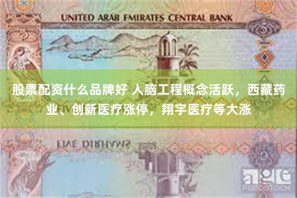股票配资什么品牌好 人脑工程概念活跃，西藏药业、创新医疗涨停，翔宇医疗等大涨